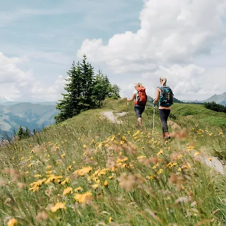 Stockinger A2 * גרוסארל