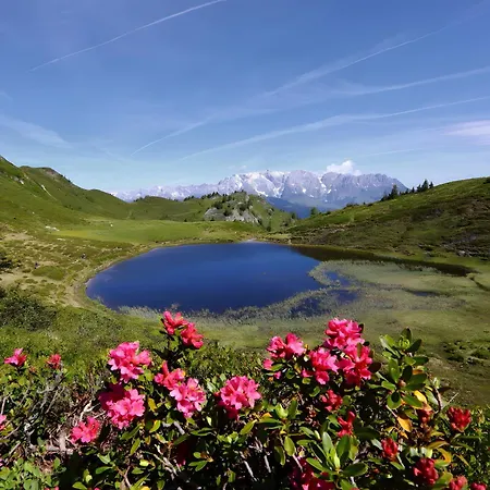 דירה Stockinger A2 *