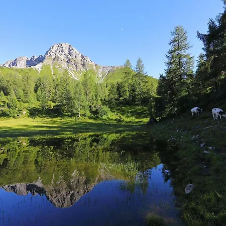 דירה Stockinger A2 *