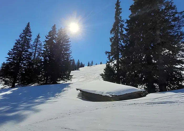 Stockinger A2 דירה גרוסארל