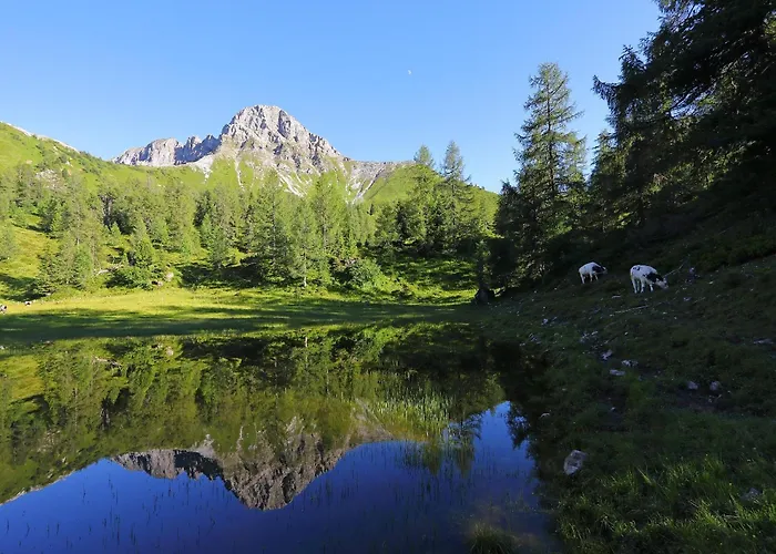 דירה Stockinger A2 *