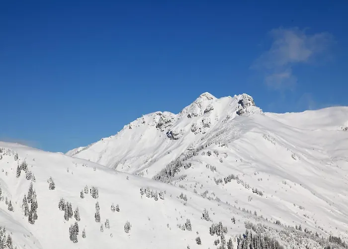 Stockinger A2 דירה