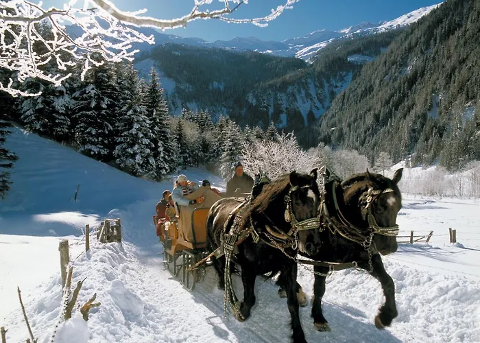 דירה Stockinger A2 *